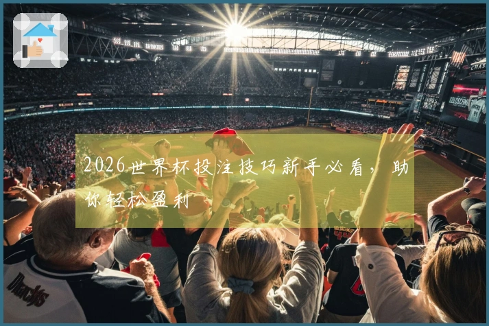 2026世界杯投注技巧新手必看，助你轻松盈利