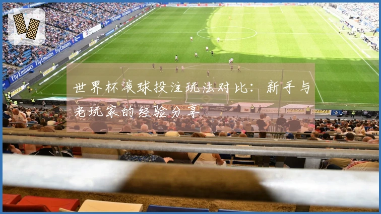 世界杯滚球投注玩法对比：新手与老玩家的经验分享