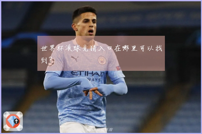 世界杯滚球竞猜入口在哪里可以找到？