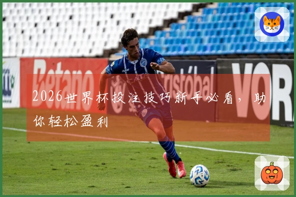 2026世界杯投注技巧新手必看，助你轻松盈利