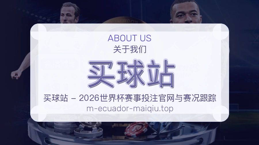 关于 买球站 团队与服务